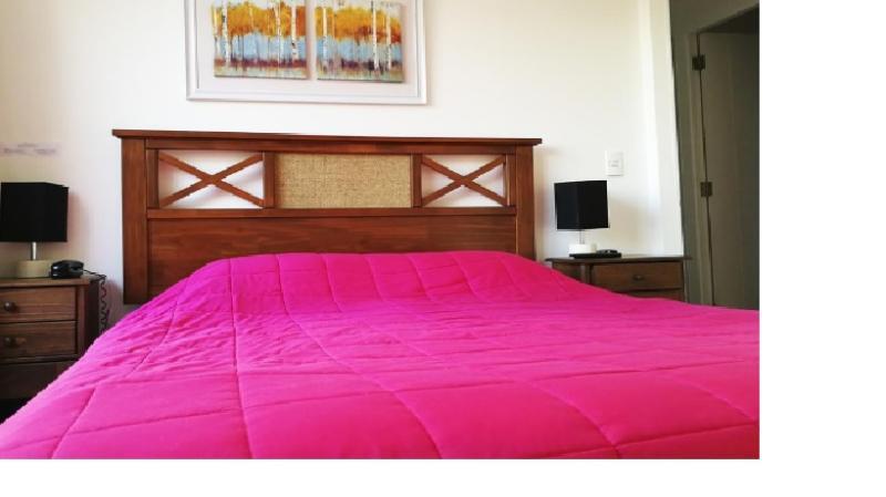 산티아고 Plaza Paris Amistar 아파트 외부 사진
